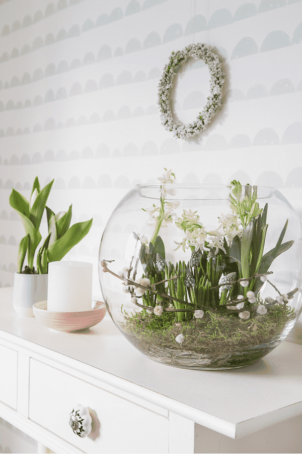 Easter activity terrarium with spring plants