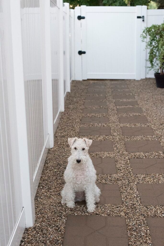 Side yard fencing and gate
