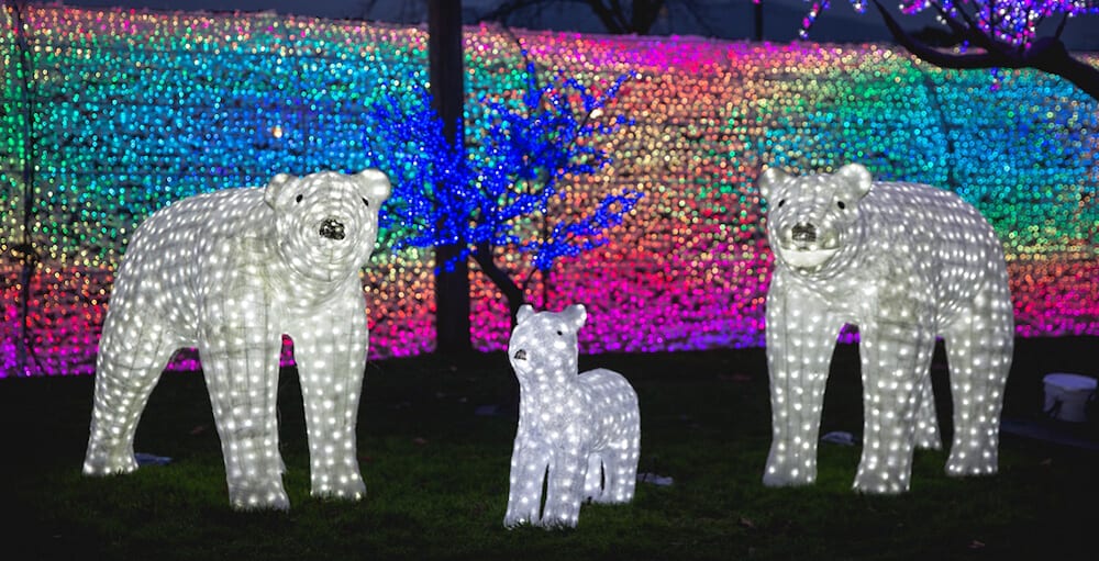 vancouver holiday lights