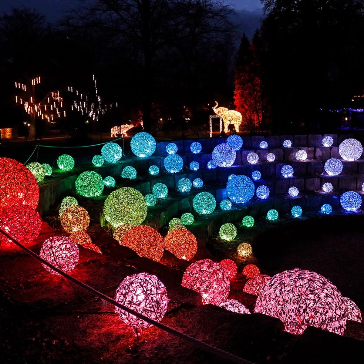 holiday light shows in Lower Mainland