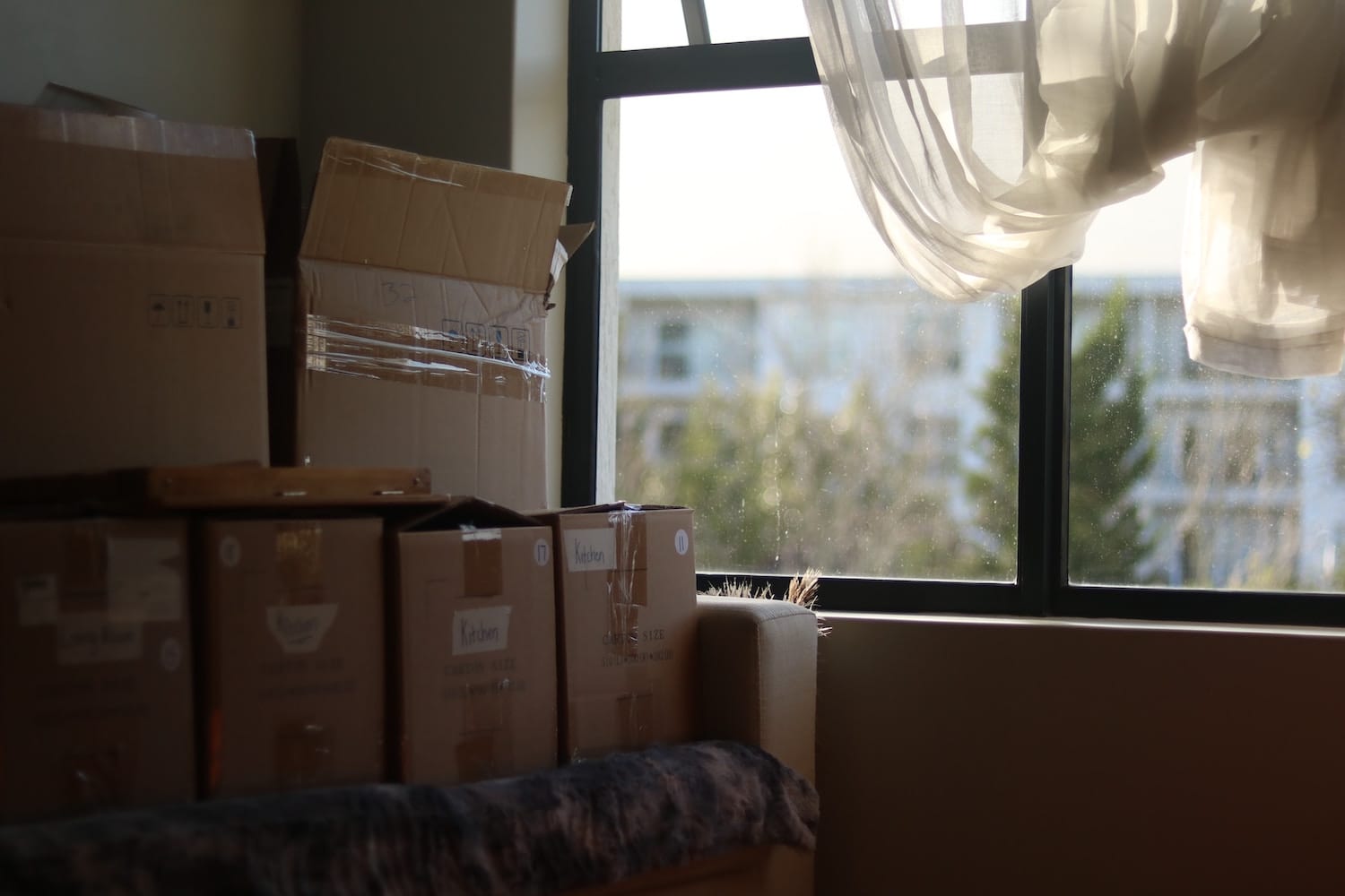 home moving boxes