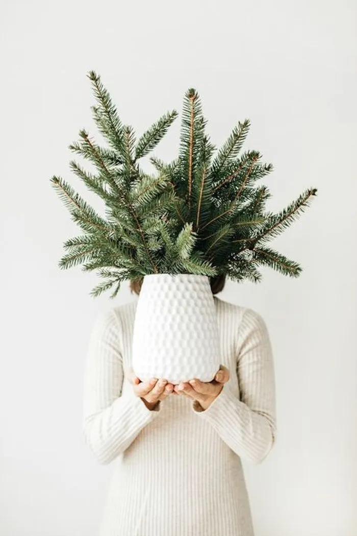 evergreens in vase