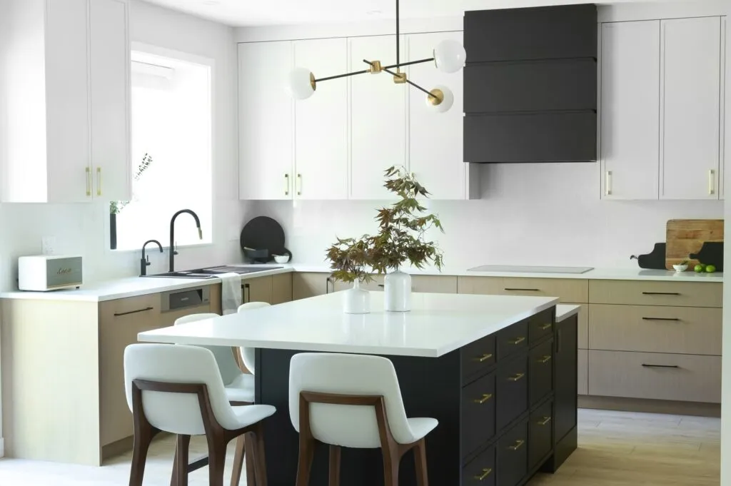 minimalist kitchen in port moody